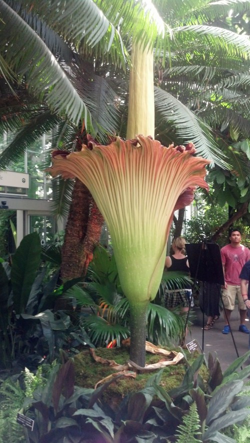 IMG_20130722_152759_846