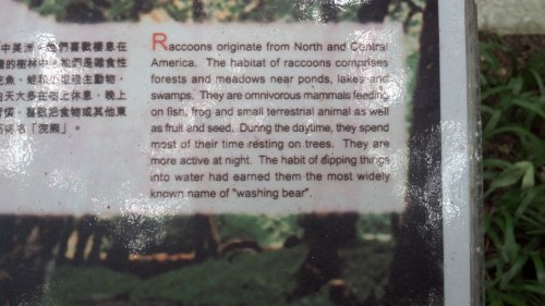 Apparently, we call them Washing Bears.