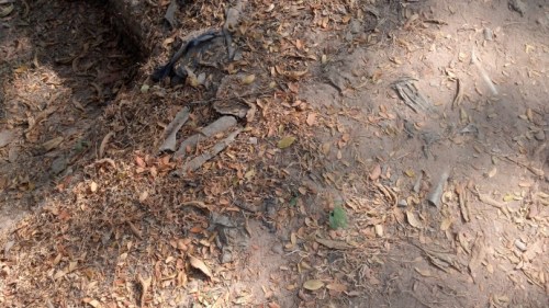 2013-01-27_15-38-06_609